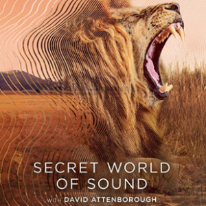 Secret World of Sound